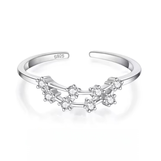 Сребърен пръстен с цирконий "Capricorn"