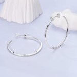 Сребърни обеци с цирконий "Forever and always"